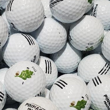 Pinnacle Practice Logo A-B Grade Used Golf Balls | 300 Per Case [REF#112823P] (7199514460242)