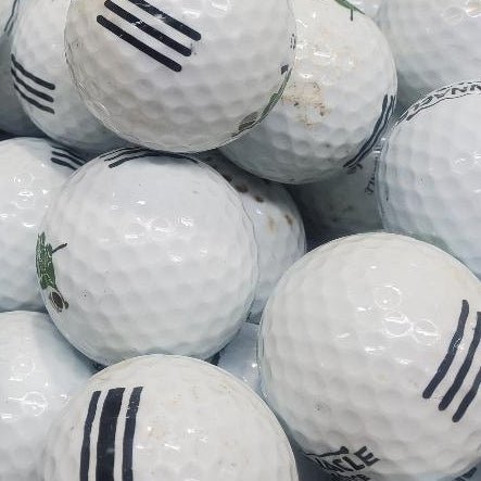 Pinnacle Logo Used Golf Balls B - A Grade 300 per case [REF#01262024K] - Golfball Monster (7224534433874)