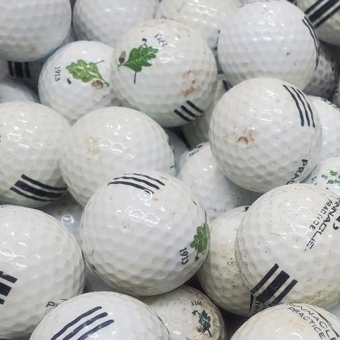 Pinnacle Logo "Cosmetically Challenged" CB Grade Used Golf Balls | Cases of 300 each [REF#01262024M] - Golfball Monster (7224534859858)