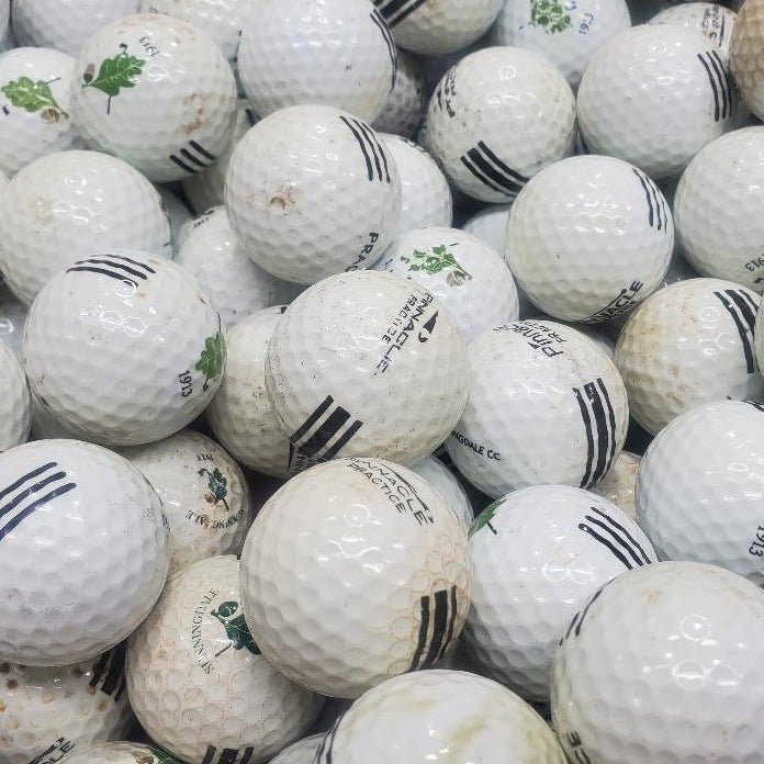 Pinnacle Logo "Cosmetically Challenged" CB Grade Used Golf Balls | Cases of 300 each [REF#01262024M] - Golfball Monster (7224534859858)