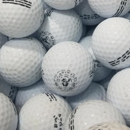 Mix Range Black Logo CB Grade Used Golf Balls | 300 per case [REF#1000324J] - Golfball Monster (7393384562770)