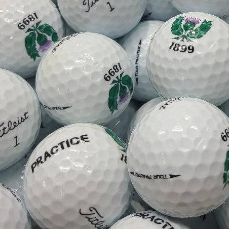 Titleist Tour Practice/NXT Logo Used Golf Balls AB Grade | 300 Per Case [REF#061423A] - Golfball Monster (7126219948114)